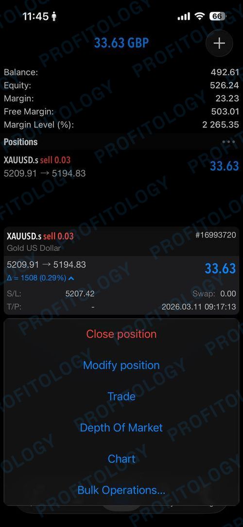 Profitology member win 09