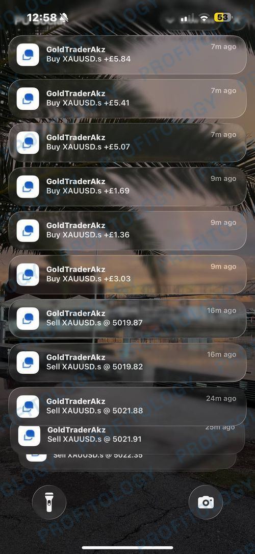 Profitology member win 12